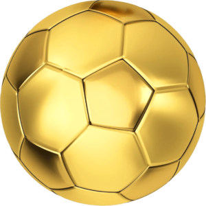 Lionpredictions